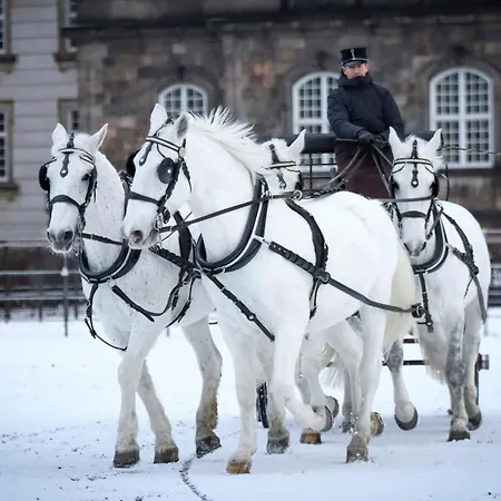 아파트 Stunning 2 Bedroom On Nyhavn With Private Balcony *